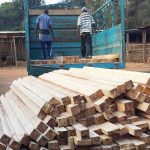 Timber export fraudsters warned